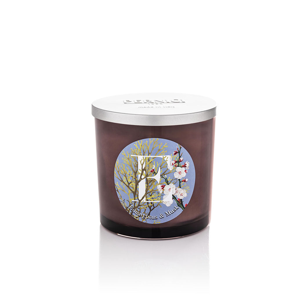 Candela profumata Elementi 350gr profumazione Eucalyptus& Musk di Pernici in still life.